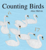 Counting_birds