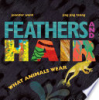 Feathers_and_hair