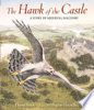 The_hawk_of_the_castle