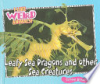 Leafy_sea_dragons_and_other_weird_sea_creatures